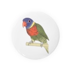 まめるりはことりの色合いが綺麗なゴシキセイガイインコちゃん【まめるりはことり】 Tin Badge