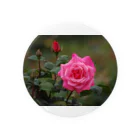 Barika7519の鹿児島の薔薇 Tin Badge