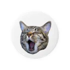 🍀葉っぱちゃんねる🍀の保護猫ローリエのあくび Tin Badge