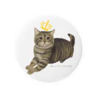 猫の王国ミュージアムショップのきんぐだむ Tin Badge