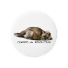 茶猫革命〜Chaneko de Revolution 〜のイタチじゃないよ！猫なのよ！ Tin Badge