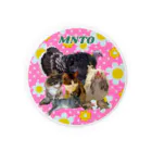 mnto雑貨洋品店のmntoつくね仲間入りver Tin Badge