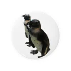 ペンギンのいるBARのテッペー＆ナオボー Tin Badge