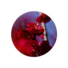 eMu*りおの赤い梅(写真) Tin Badge