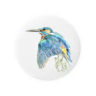 Birdbirdの小鳥　カワセミ Tin Badge