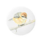 Birdbirdの小鳥　モズ Tin Badge