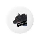 SASARiNS のThe black dog Tin Badge