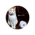 しろ＆たび　猫暮らしの完全否定　オレちゃうし。 Tin Badge