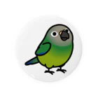 Cody the LovebirdのChubby Bird シモフリインコ (75mm専用ページ） Tin Badge