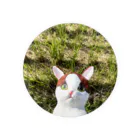 モサモサ商店のたんぼとねこ Tin Badge