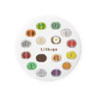 DOTEKKOのT-29 Lithops CIRCLE Tin Badge