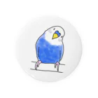 ぴぃのインコちゃん！ Tin Badge