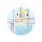 まめるりはことりの可愛いのぞき見セキセイインコちゃん【まめるりはことり】 Tin Badge