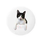 ハチワレ猫のタロのTALO Tin Badge