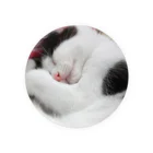 猫ドМさん専用猫グッズのお店　びーにゃんくらぶの2012保護猫　うっしー改め「にこちゃん」 Tin Badge
