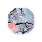 神丸の桜6 Tin Badge