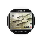 G-HERRINGのニシン！（鰊；HERRING）色丹島。あらゆる生命たちへ感謝を捧げます。 缶バッジ