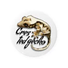 ha.chi@ハチ☺︎爬虫類のクレステッドゲッコー /リリーホワイト Tin Badge