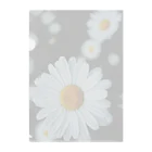 Petal N' FeatherのShambara Clear File Folder