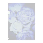 Anna’s galleryのBLUE Rose Clear File Folder