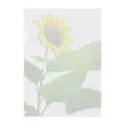 Dusk_and_DawnのSunflower02 Clear File Folder