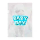 BABYBOXのBABYBOXシリーズ・リアル羊BABY クリアファイル