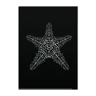 Dot .Dot.の"Dot.Dot."#008 Starfish Clear File Folder