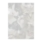 そしらぬのひめとあおクリアファイル Clear File Folder