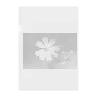 FILM CANERA FANのMONOCHROME FLOWER Clear File Folder