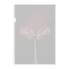 Shopカンパチの赤い花 Clear File Folder