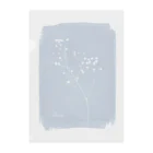 tocolierのCyanotype "gypsophola" クリアファイル