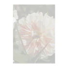 じょにーのflower white2 Clear File Folder