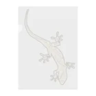 LalaHangeulのJapanese gecko(ニホンヤモリ)　英語デザイン クリアファイル