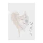 SHIBAOOOOOの柴生です クリアファイル