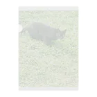 天光のねこ部屋の黒猫カカオの庭 Clear File Folder