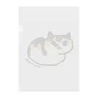 保護ねこカフェ もりねこのなつめちゃん Clear File Folder