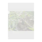 tizujonoboukenの自然豊か Clear File Folder