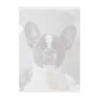 okamemaruの癒し系いぬ Clear File Folder