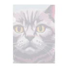 mahito_nekoのブリティッシュショートヘアー Clear File Folder