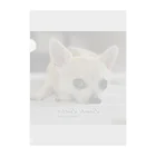 犬執事・ドッグバトラーのバンビ君ショップの世界初！本物の犬執事・ドッグバトラーのバンビ君 Clear File Folder