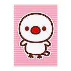 いんこ屋堂の白文鳥 Clear File Folder