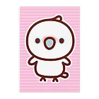 いんこ屋堂のシロビタイムジオウム Clear File Folder