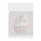 てくのちゃんのサンタを信じてる猫 Clear File Folder