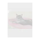 森図鑑の[森図鑑] 寝そべりキジトラ猫 クリアファイル