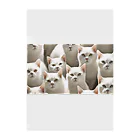 kiryu-mai創造設計の白猫ぎっしり Clear File Folder