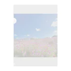 キャラメルのコスモス畑が広がる風景が絶景 Clear File Folder