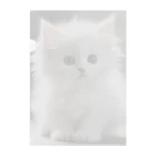 SkyBlueのキュートな子猫 Clear File Folder