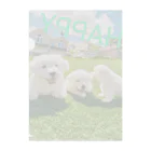 SkyBlueの可愛い子犬たち クリアファイル