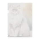 hiname-studioのペルシャ猫 Clear File Folder