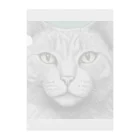 にゃんこーねこのドアップ猫 Clear File Folder